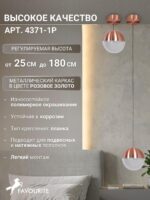 4371-1P — изображение 3