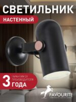 2007-1W — изображение 2