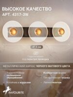4317-3W — изображение 3