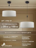 4796-1P — изображение 4