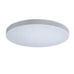 10002/48 White Потолочный светильник LOFT IT Axel — изображение 3