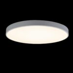 10002/48 White Потолочный светильник LOFT IT Axel — изображение 2