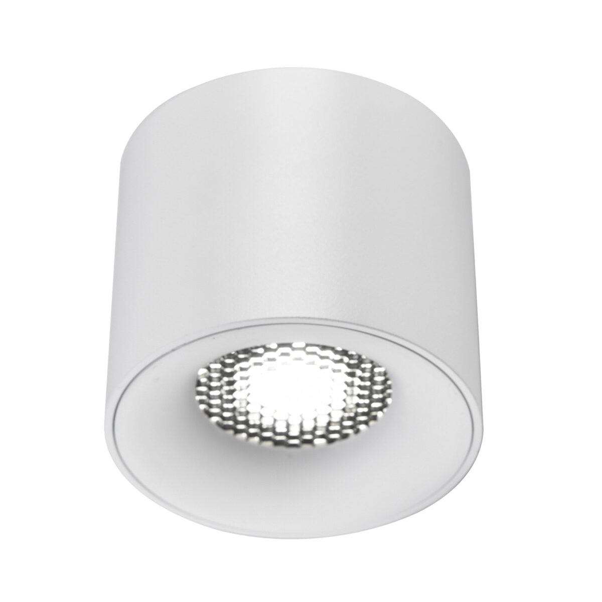 ST761.533.10_01W ST761.533.10 Светильник потолочный белый LED 1*10W 3000K 530Lm Ra 90 36° IP20 D80xH70 170-240VV Накладные светильники — изображение 1