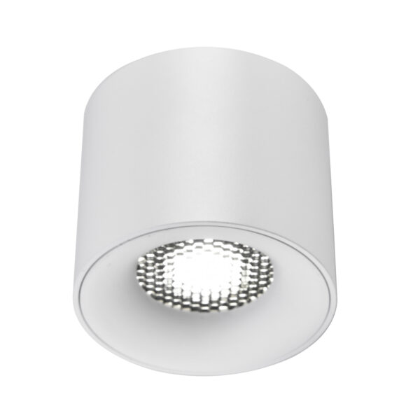 ST761.533.10 Светильник потолочный белый LED 1*10W 3000K 530Lm Ra 90 36° IP20 D80xH70 170-240VV Накладные светильники
