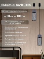 4273-1P — изображение 3