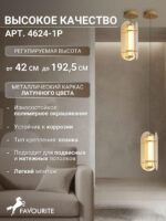 4624-2P — изображение 4