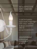 2164-2W — изображение 4