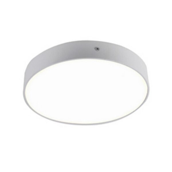2065-30C, потолочный светильник, D225xH40, LEDx30W, AC:100-240V, IP21, 2550LM, 4000K, included