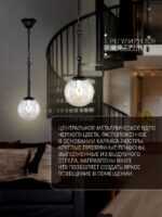 2169-1P — изображение 3