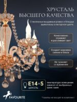 1738-5P — изображение 4
