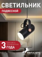 2007-1P — изображение 2