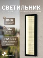 4298-2W — изображение 2