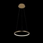 10014S Подвесной светильник LOFT IT Ring — изображение 2