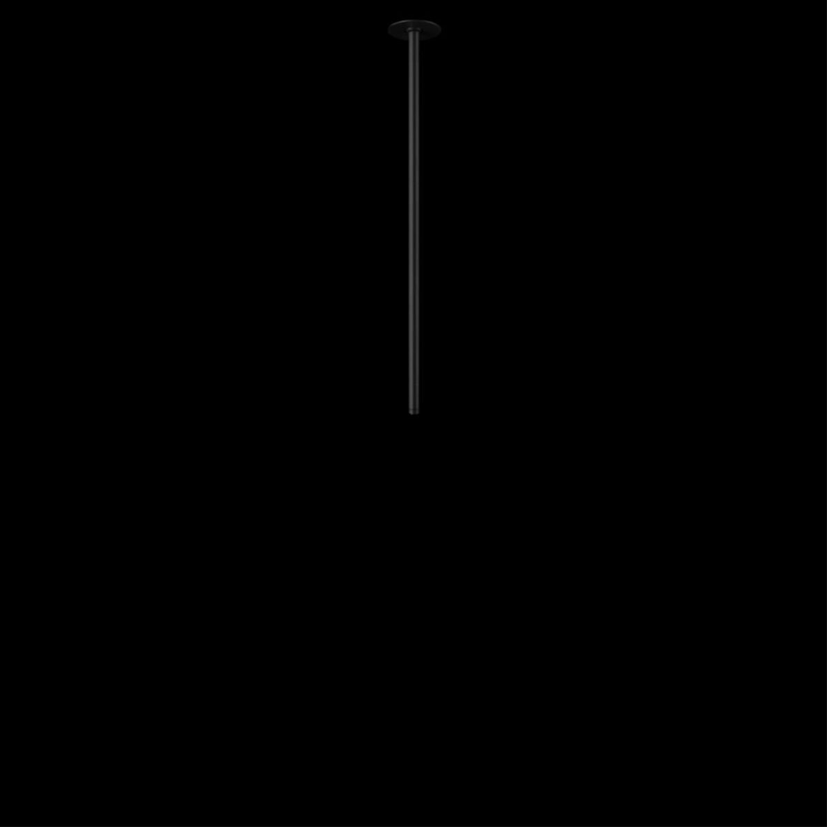 10359/600 Black Потолочный светильник LOFT IT Cane — изображение 4
