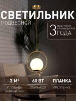 2788-1P — изображение 2