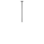 10359/600 Black Потолочный светильник LOFT IT Cane — изображение 3