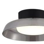 SL6019.412.01 Светильник потолочный ST-Luce Черный/Дымчатый, Белый LED 1*36W 3000K ФОРЕЙ — изображение 3