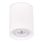 ST156.502.01 Светильник потолочный Белый GU10 1*50W IP20 D100xH120 180-240V Без ламп Накладные светильники — изображение 2