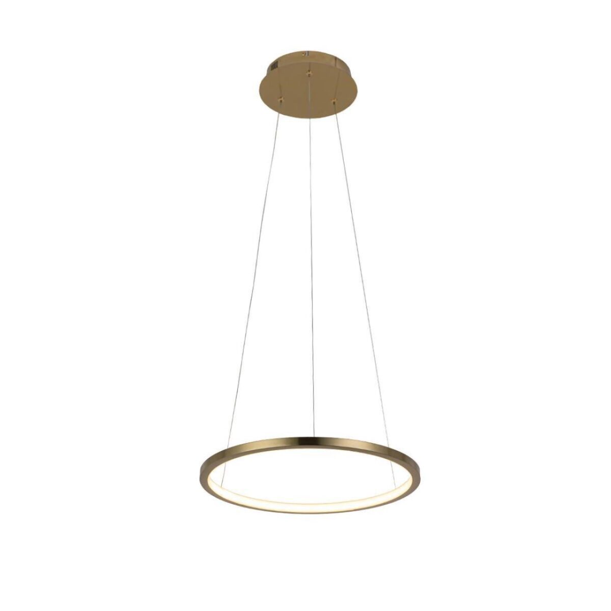 10014S Подвесной светильник LOFT IT Ring — изображение 1