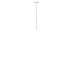 10359/500 White Потолочный светильник LOFT IT Cane — изображение 3