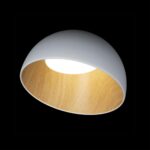 10197/350 White Потолочный светильник LOFT IT Egg — изображение 2