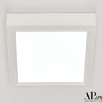 Светильник накладной светодиодный 3322.LDF6004M/6W/6K Arte Perfetto Luce