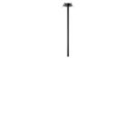 10359/500 Black Потолочный светильник LOFT IT Cane — изображение 7