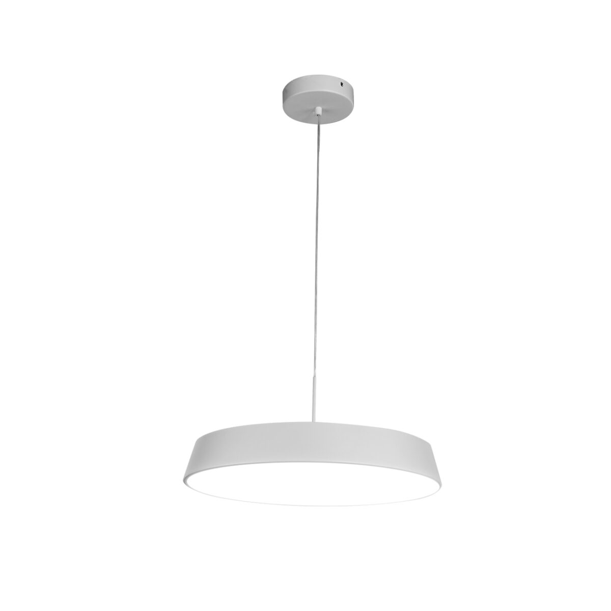 6453B6286E2433E982DF_0 Escada 10301/1 LED*70W White — изображение 1