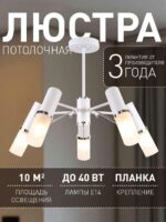 2559-5P — изображение 2