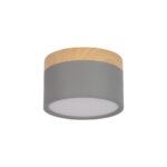 10162 Grey Накладной светильник LOFT IT Grape