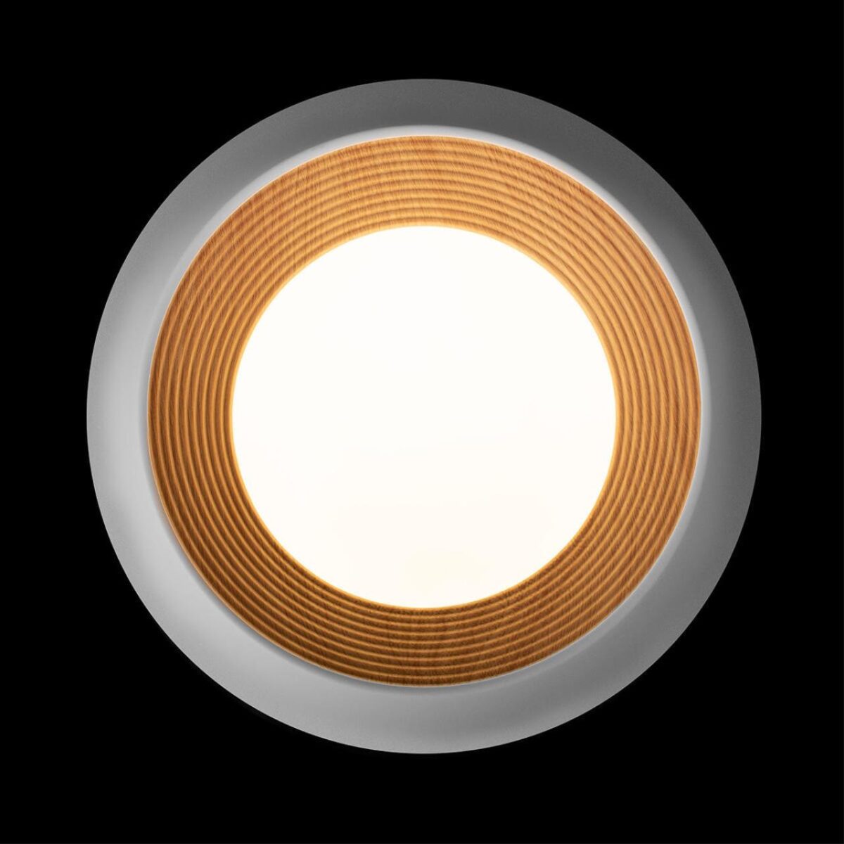 10255/350 White Потолочный светильник LOFT IT Folk — изображение 3