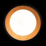 10255/500 Black Потолочный светильник LOFT IT Folk — изображение 3