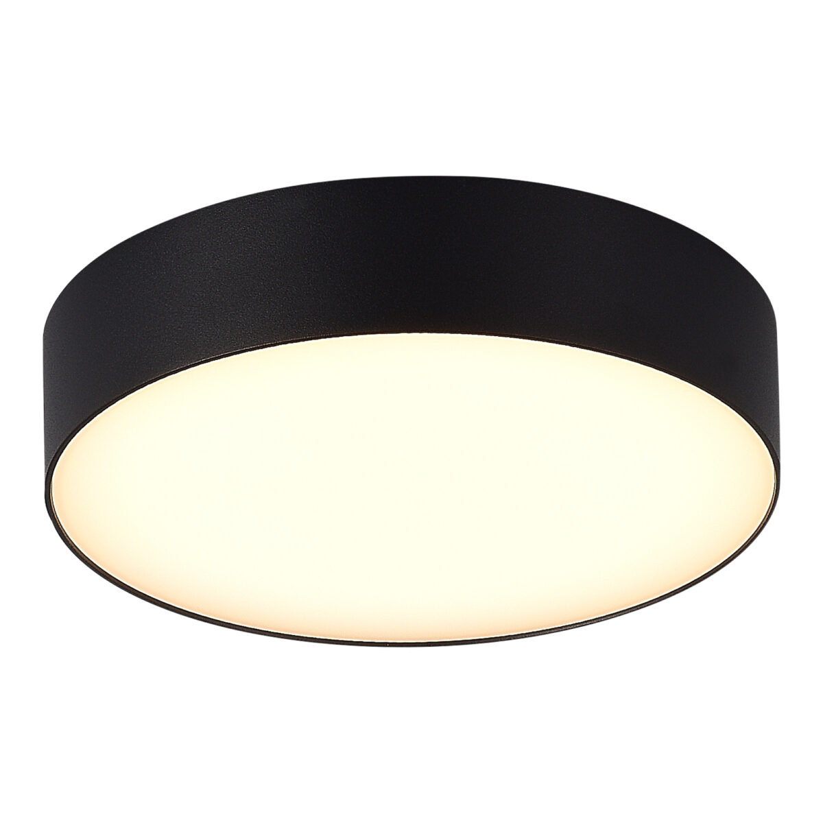 SL9518.402.01 Светильник уличный потолочный ST-Luce черный/белый LED 1*20W 3000K/4000K/5000K САН — изображение 1