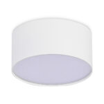 ST606.532.12 Светильник потолочный Белый LED 1*12W 3000K 1 080Lm Ra>85 120° IP20 D120xH55 185-265V Накладные светильники — изображение 2