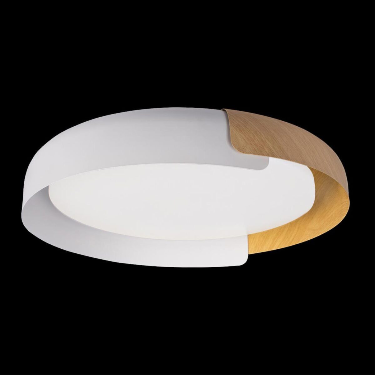 10198 White Потолочный светильник LOFT IT Coin — изображение 2