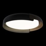 10198 Black Потолочный светильник LOFT IT Coin — изображение 2