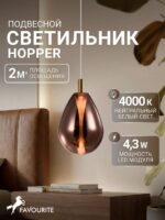 4256-2P — изображение 2