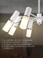 2559-8P — изображение 3