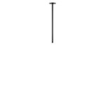 10359/500 Black Потолочный светильник LOFT IT Cane — изображение 3