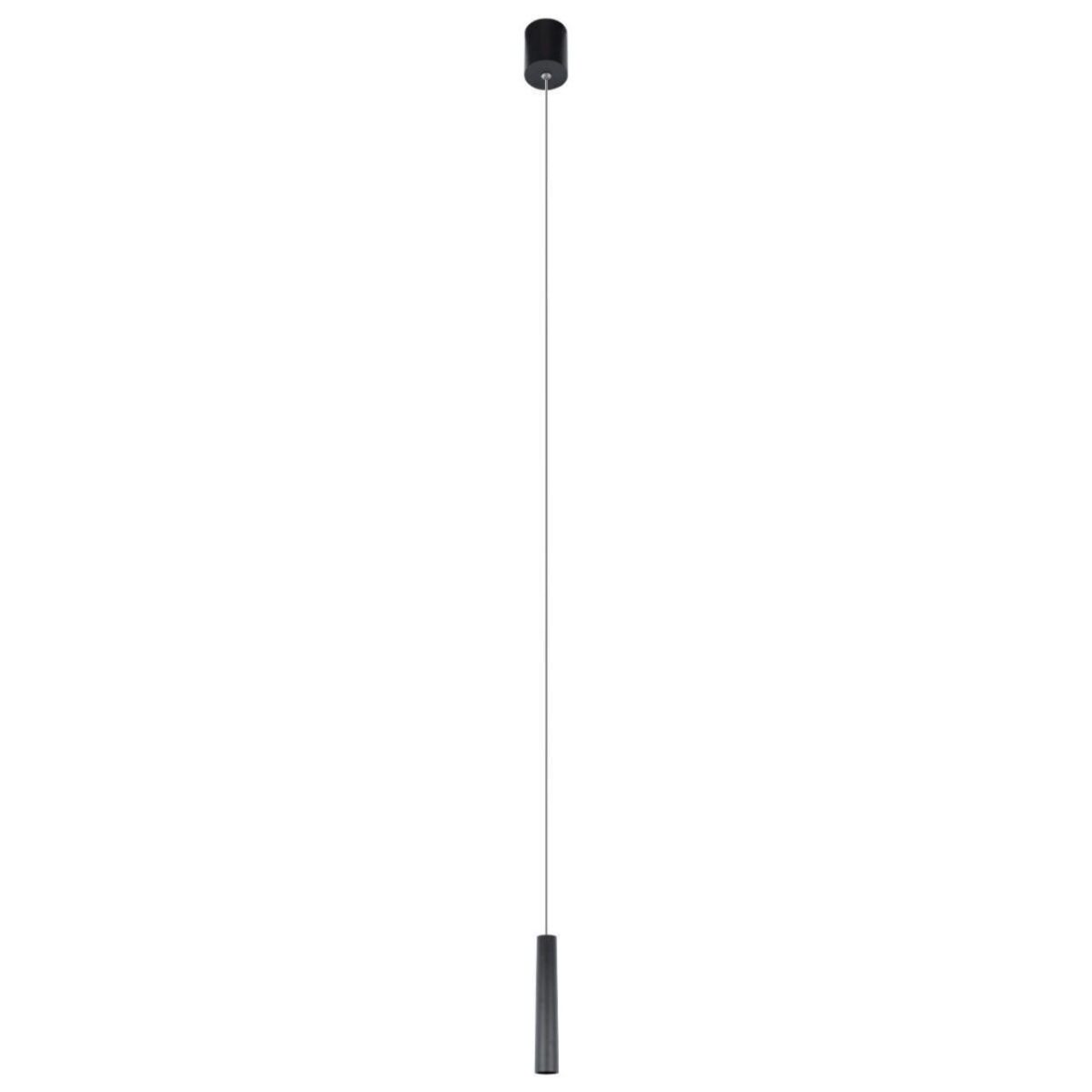 bf83e6d518116288d063c3500d59e38a 10334/300 Black Подвесной светильник LOFT IT Metropolis — изображение 1