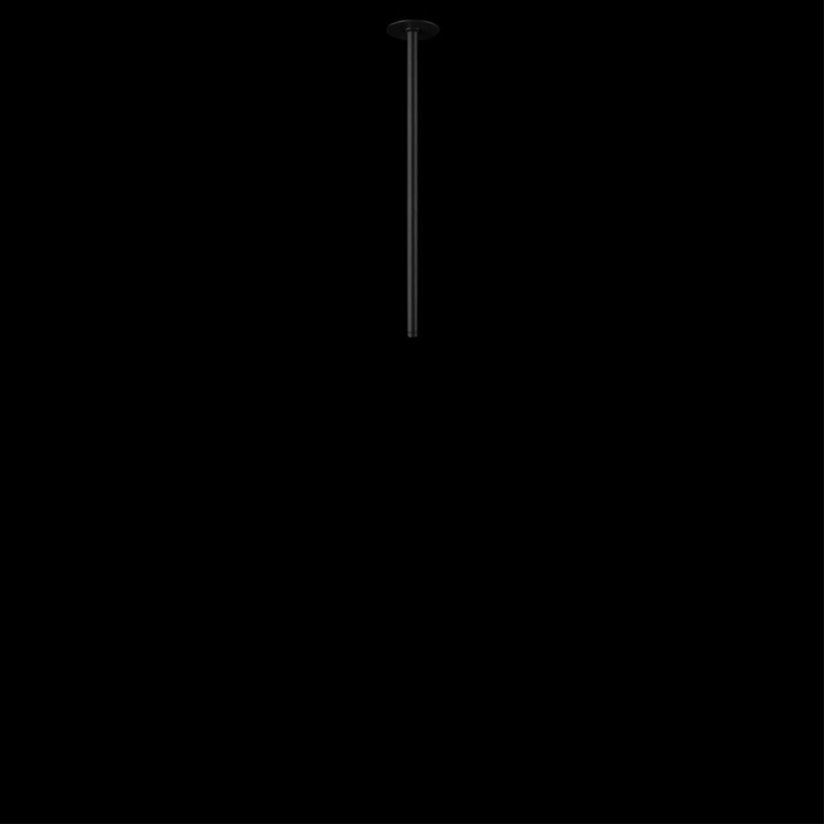 10359/500 Black Потолочный светильник LOFT IT Cane — изображение 4