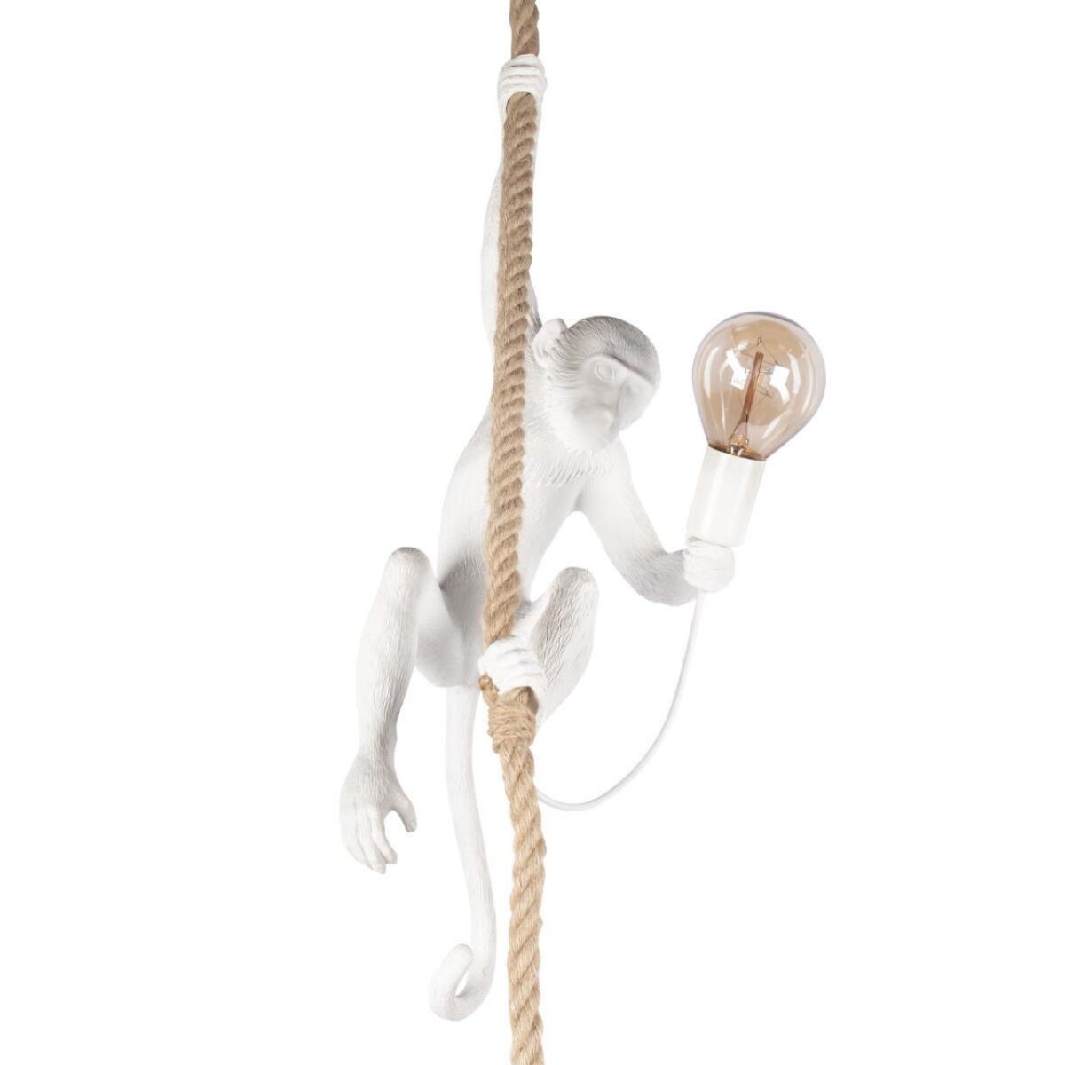cb3cbf7fd74c2428d270196d075cb3a9 10314P Подвесной светильник LOFT IT Monkey — изображение 1
