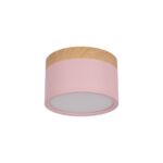 10162 Pink Накладной светильник LOFT IT Grape