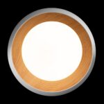 10255/500 White Потолочный светильник LOFT IT Folk — изображение 3
