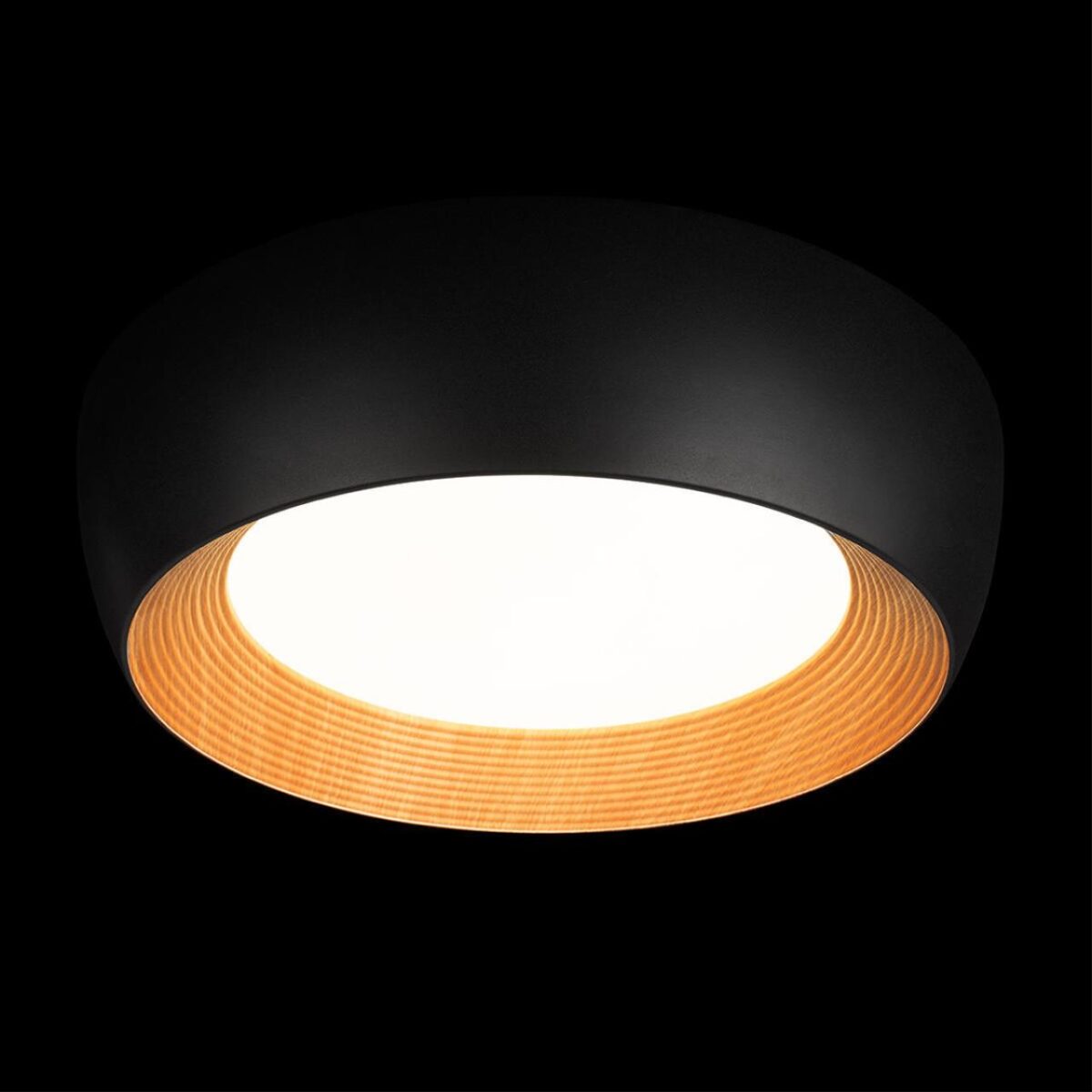 10255/500 Black Потолочный светильник LOFT IT Folk — изображение 2