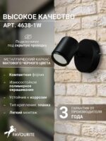 4638-1W — изображение 3