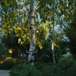 6648/6WA3 NATURE ODL25 687 черный/металл Фасадный поворотный светильник на 360° IP67 LED CREE 6W 3000K 30° AC85-265V STIMA — изображение 2
