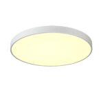 7755/92L MITRA LED SN 539 Светильник металл/акрил/белый LED (80Вт+12Вт) 3000K+3000K D800 IP20 подсветка QUASAR — изображение 3