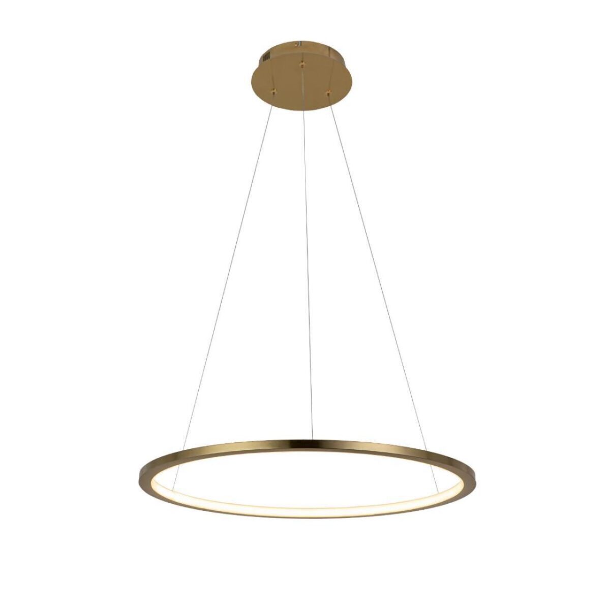 0a6e9447a7ff078c3e9508bc68ff2909 10014M Подвесной светильник LOFT IT Ring — изображение 1