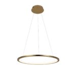 10014M Подвесной светильник LOFT IT Ring